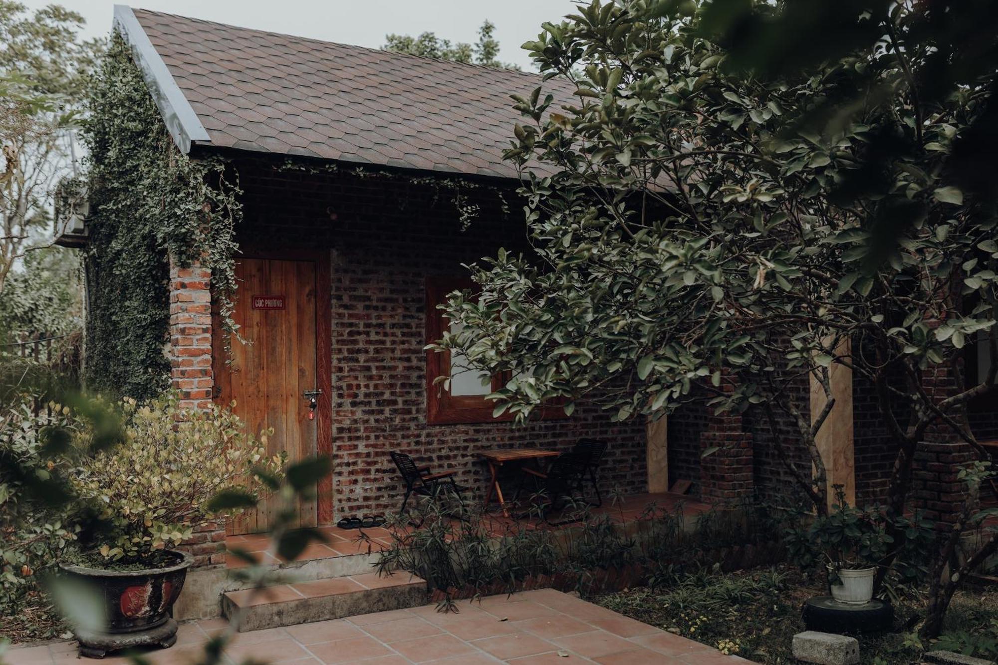 Ninh Binh Palm Homestay Exterior foto