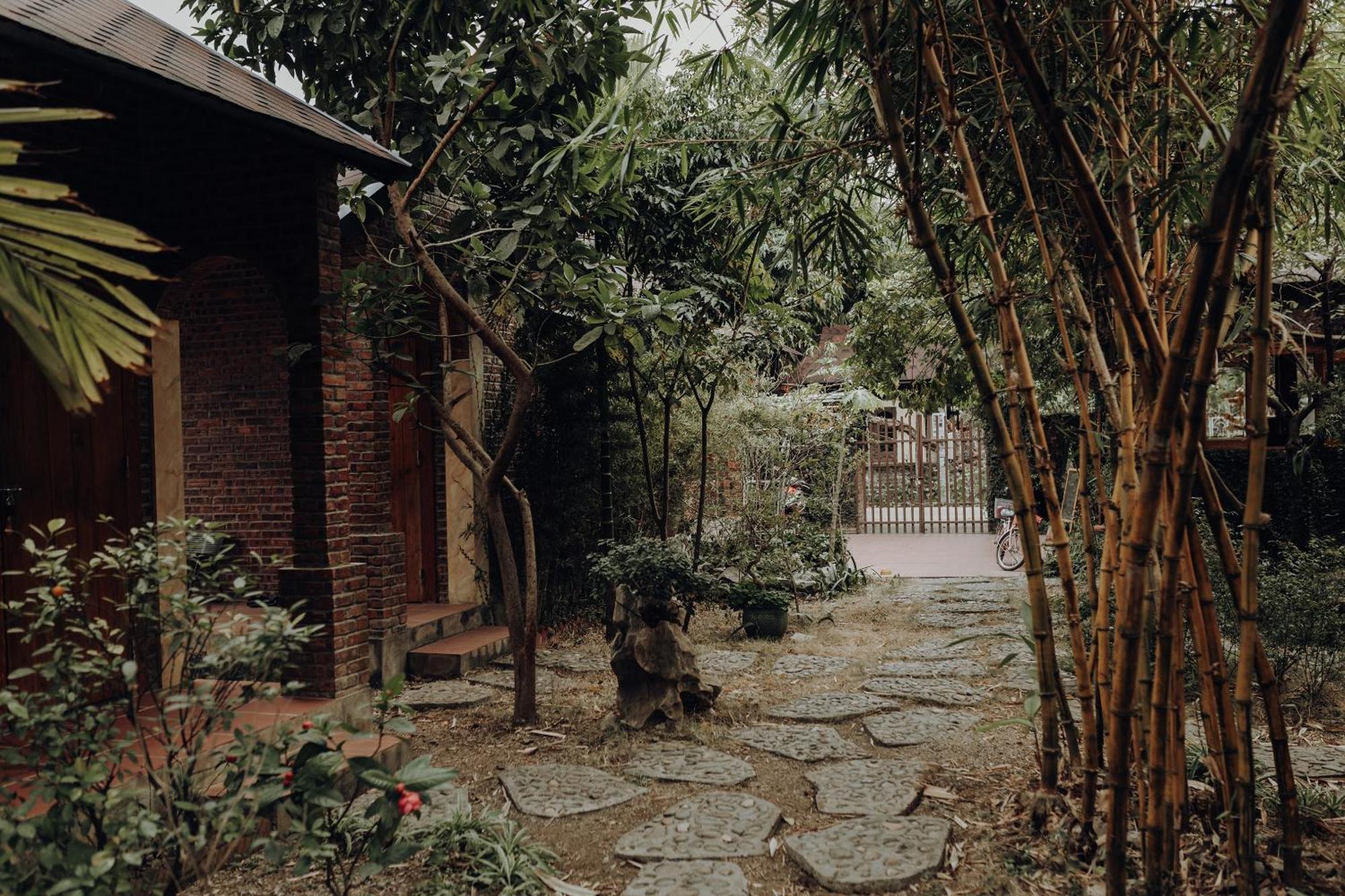 Ninh Binh Palm Homestay Exterior foto